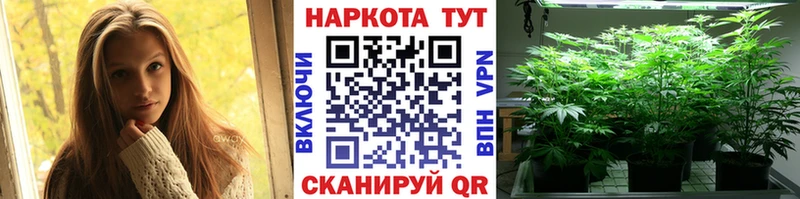 Виды наркоты Михайлов Бошки Шишки  Мефедрон  ГАШИШ 