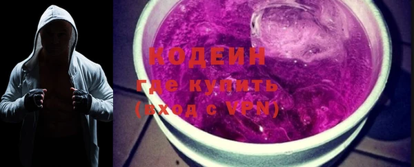 спиды Богородицк