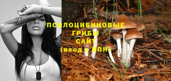 кокс Белоозёрский