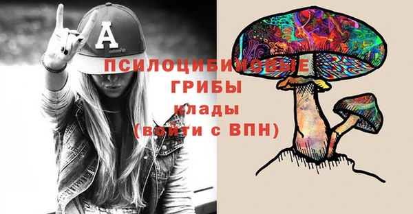 apvp Беломорск