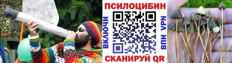 МЕГА ONION  Михайлов  Галлюциногенные грибы Cubensis 